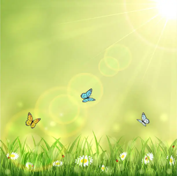 Vector illustration of Background with butterflies