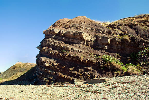 Rock Formations at Joggins, Nova Scotia stock photo