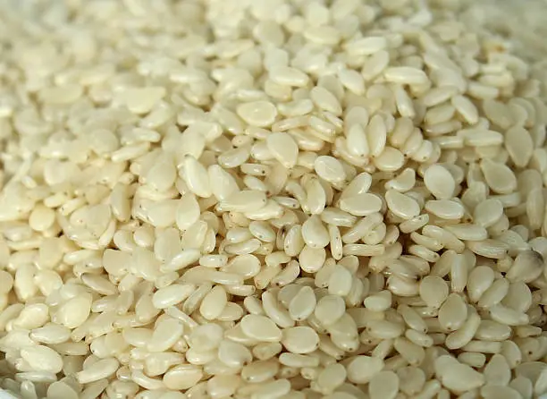 Photo showing a pile of tiny sesame seeds, which have been pictured close up.  Sesame seeds are often sprinkled onto the top of burger buns for an added crunch, while they are also used as an ingredient in Asian cuisine and frequently ground to produce a very distinctive oil.