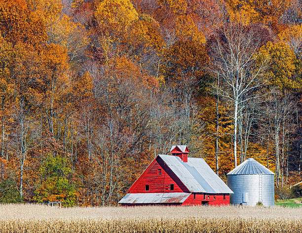 istock Autumn Red Barn and Hillside 469042047