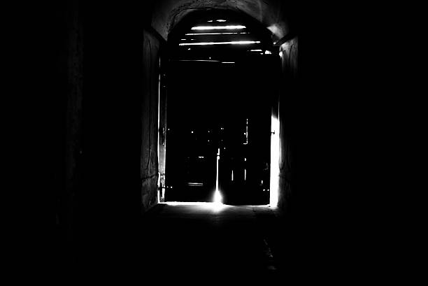 istock Mysterious door, secret entrance or exit 469044232