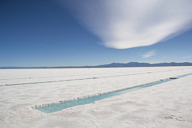 istock Big Desert of Salt 469045386