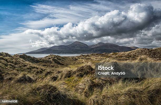 Murlough Nature Reserve Stock Photo - Download Image Now - Mourne Mountains, Northern Ireland, County Down