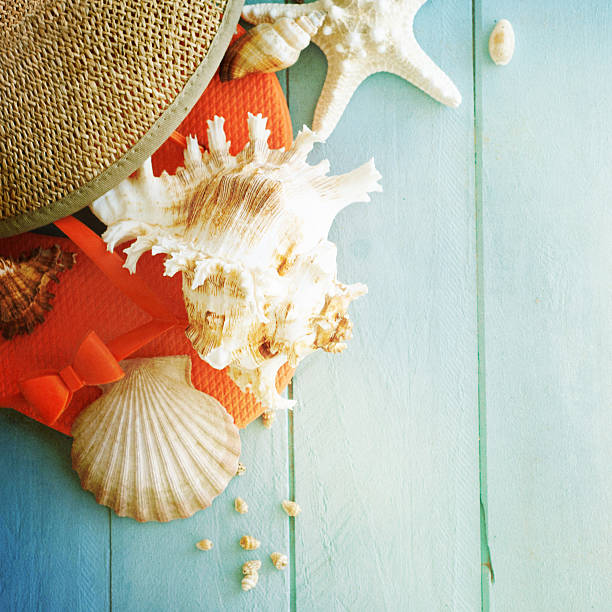 istock summer time with fish star and sea shells 469047792