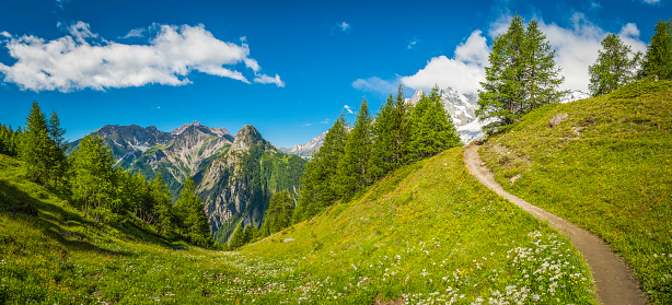 Earth trail through tranquil meadow wildflowers swaying in the summer breeze overlooked by Alpine peaks and pinnacles under panoramic blue skies, Val Ferret, Italy. ProPhoto RGB profile for maximum color fidelity and gamut.