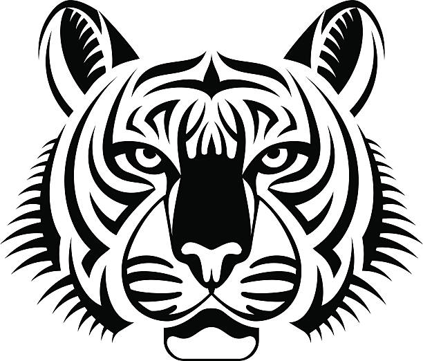 ilustraciones, imágenes clip art, dibujos animados e iconos de stock de tigre real de cara lo más adelante. - tiger bengal tiger circus black