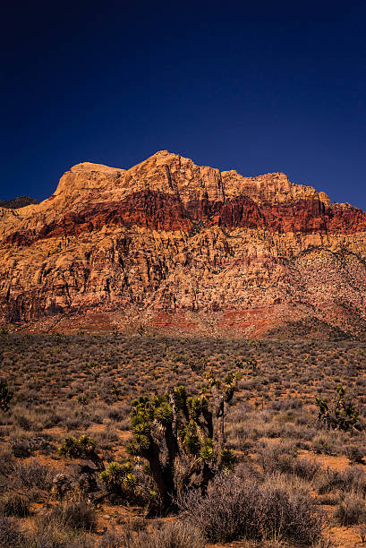 istock Mountains of Red Rock Canyone Conservation Area 4 469048330