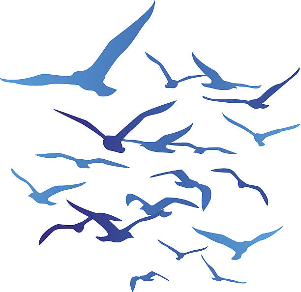 ptaki sylwetka na białym tle - stado ptaków ilustracje stock illustrations