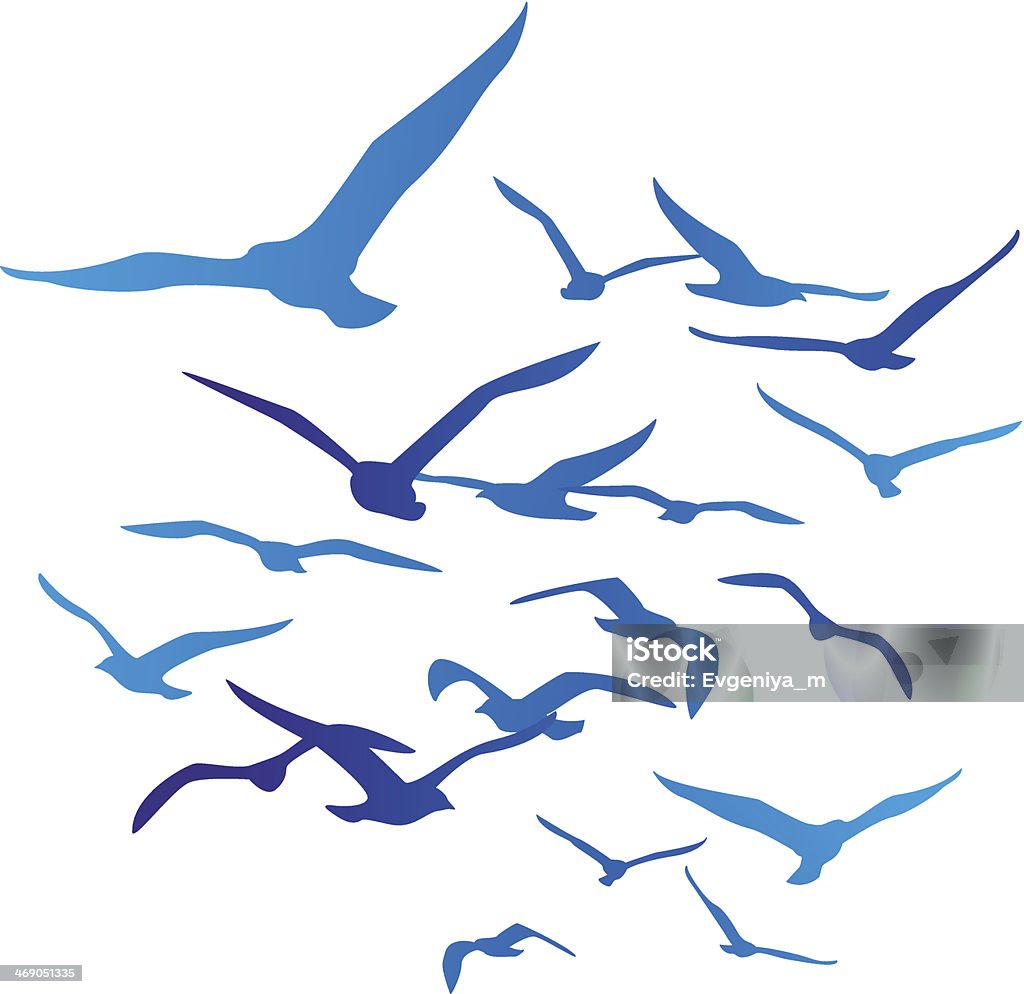 Силуэты птиц, изолированных на белом - Векторная графика Чайка роялти-фри