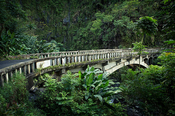 foresta pluviale di maui, hawaii. - waterfall maui hana coast hawaii islands foto e immagini stock