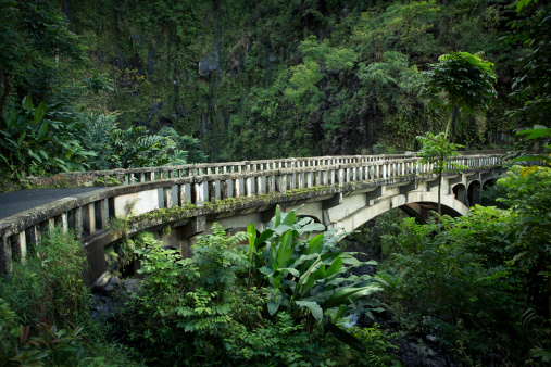 Old bridge on the road to Hana Maui