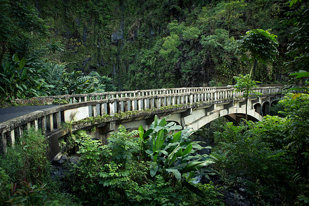 Rainforest in Maui, Hawaii. Old bridge on the road to Hana Maui hana coast stock pictures, royalty-free photos & images