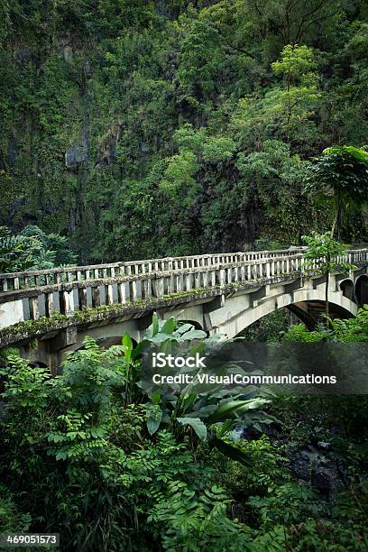 熱帯雨林でマウイハワイ - マウイ島 ハナのストックフォトや画像を多数ご用意 - マウイ島 ハナ, 道路, ハワイ諸島