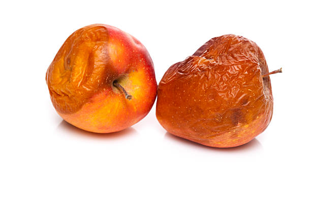 zgniłe jabłka - rotting apple fruit rudeness zdjęcia i obrazy z banku zdjęć
