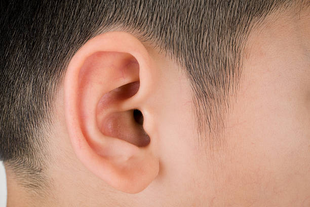 Asian Human ear closeup stock photo