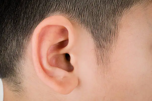 Photo of Asian Human ear closeup