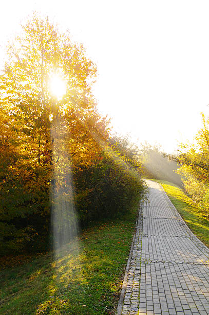 istock sunny autumnal day 469052180
