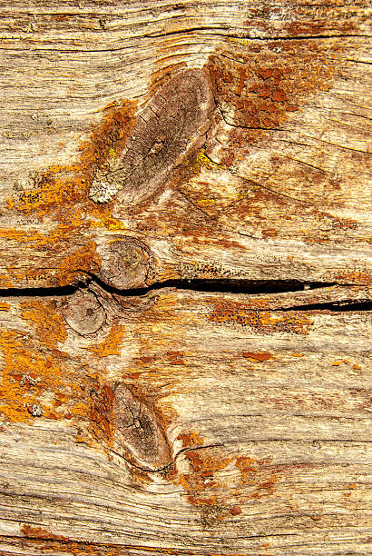 istock Old Shabby Wooden Planks 469052860