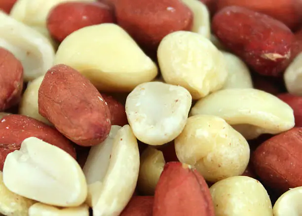 Close-up macro photo showing a group of redskin peanuts, with and without their distinctive skins.  Redskin peanuts are a healthy snack food, being healthier than the salted and dry roasted versions sold in foil packets.  While they are generally called nuts, they do in fact belong to the legume family, along with their cousins, beans and peas.