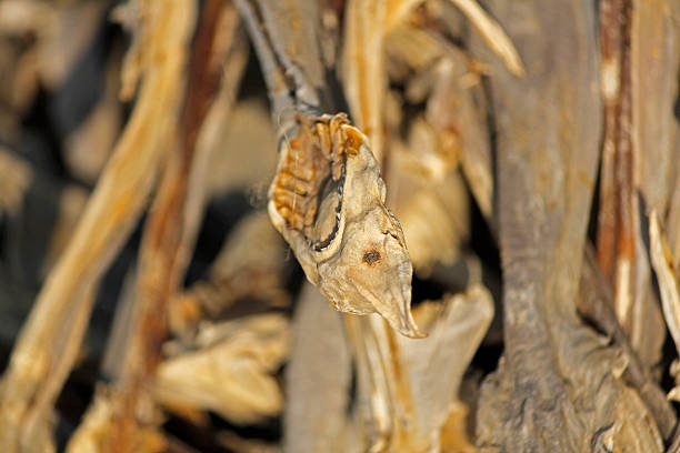 istock Dry fishes, Market 469055500