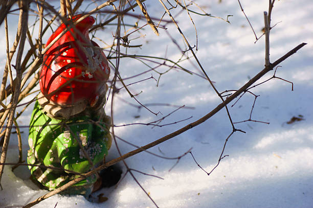 Garden gnome in the snow Garden gnome in the snow mickey mantle stock pictures, royalty-free photos & images