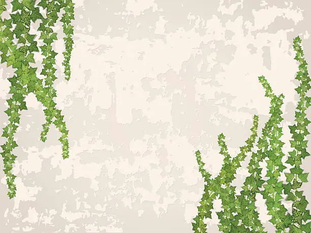 Vector illustration of hanging vines on the background of old stucco wall