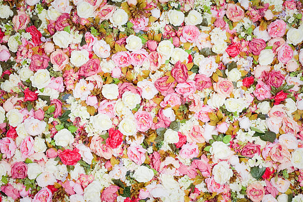istock Pattern of fresh colorful roses 469062848