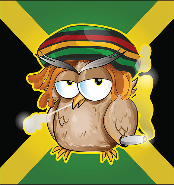 bildbanksillustrationer, clip art samt tecknat material och ikoner med rastafarian owl cartoon on jamaican flag - welcome to jamaica