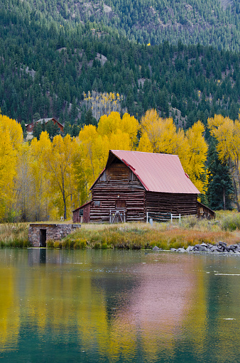 An old log barn sits in front of a stand of aspen and cottonwood trees, golden with the colors of autumn.  In the foreground the entire scene is reflected in a lake.