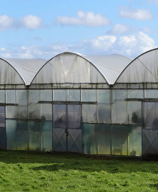 istock Image of plastic polytunnels in row at garden centre nursery 469063794