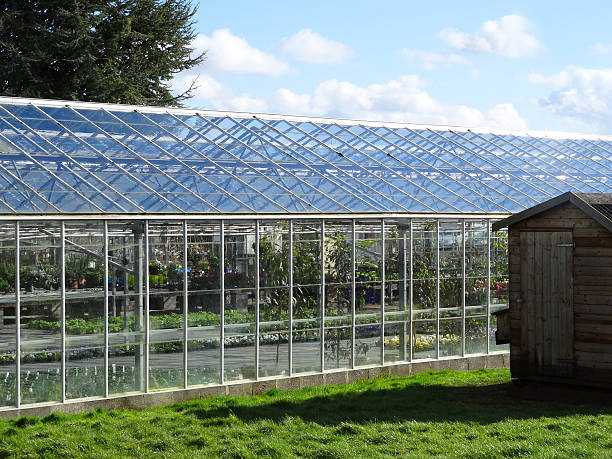 bild von großen "greenhouse"/"glasshouse" mit bettwäsche pflanzen im garten-center - aluminum glass house window stock-fotos und bilder