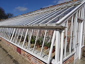istock Image of long wooden greenhouse painted white, glass-windows providing ventilation 469063866