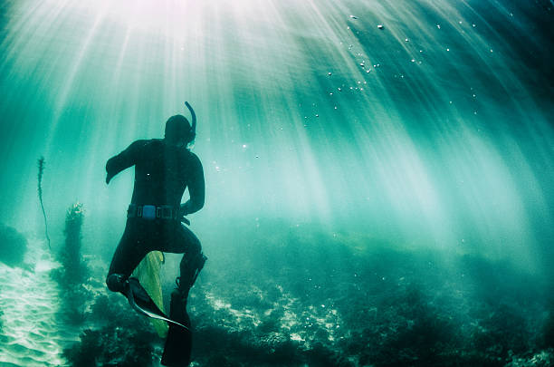 istock Diver searching for fish underwater in beautiful sunbeam water 469066812