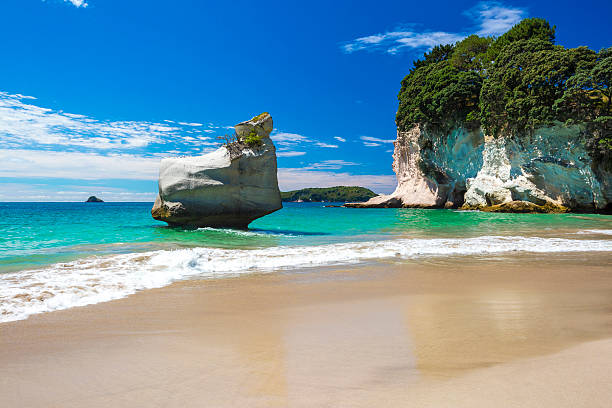 Scenic photo of beach and blue ocean at Cathedral Cove Cathedral Cove / New Zealand coromandel peninsula stock pictures, royalty-free photos & images