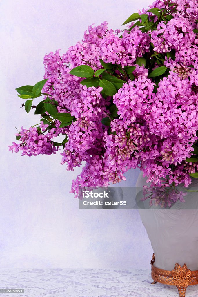 Spring Flowers: bouquet of lilacs Syringa vulgaris in a vase A bouquet of beautiful lilacs, Syringa vulgaris, in an antique vase. The vase is sitting on a lace covered table in front of a painted and textured background done in shades of purple. 2015 Stock Photo