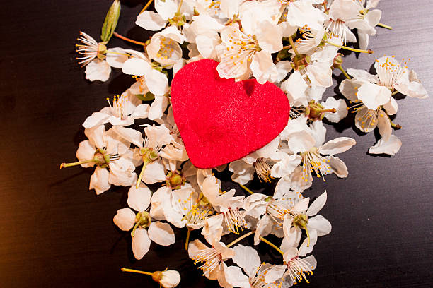 istock Red heart over white blossoms on dark background 469075650
