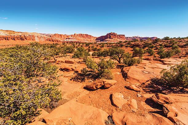 istock Capitol Reef Rocky Landscape 469078688