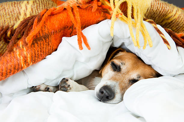 istock Good night and sweet dreams 469083106