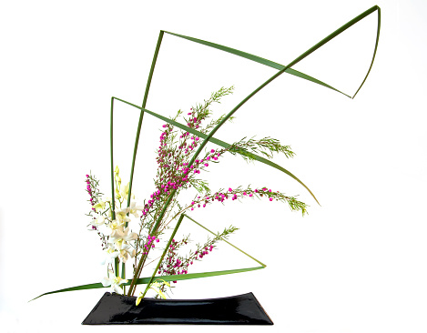 Japanese style flower arrangement ikebana isolated on white background