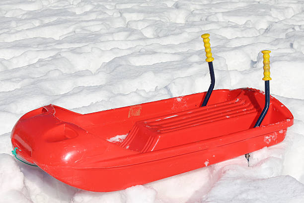 istock big red bob to play in the snow 469085070