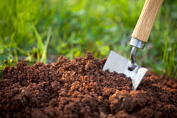 erde mit garten kelle-handwerk und garten - graben körperliche aktivität stock-fotos und bilder