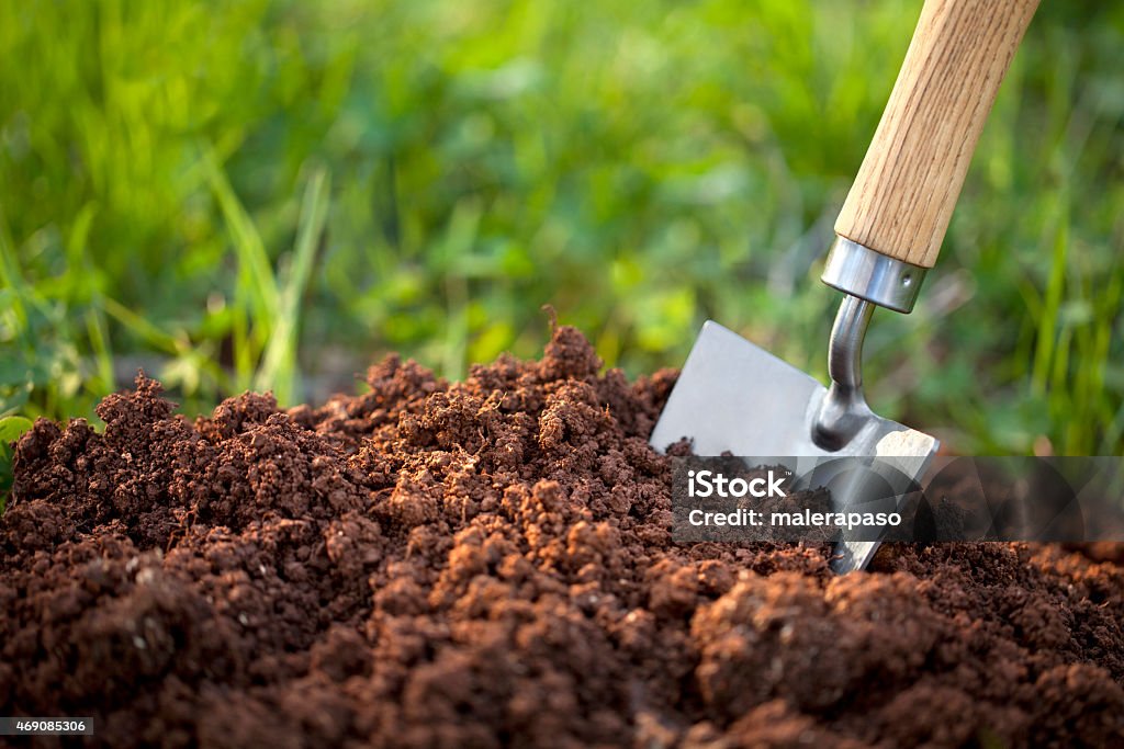 Soil with a garden trowel Garden trowel in the soil humus. Dirt Stock Photo