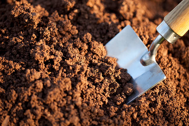 Soil with a garden trowel Garden trowel in the soil humus. trowel gardening shovel gardening equipment stock pictures, royalty-free photos & images