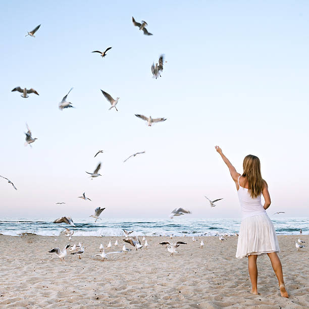 istock Woman at Beach are Feeding Seagulls 469088734