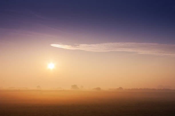 sunrise over the field