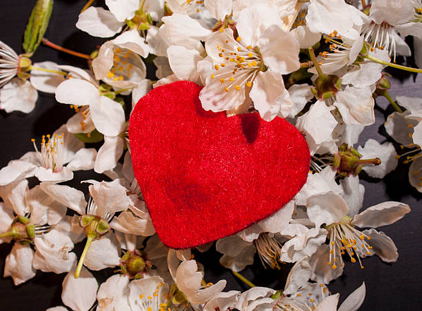 istock Red heart over white blossoms on dark background 469092884
