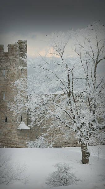 istock The UNESCO World Heritage Site Visby.GN 469096797