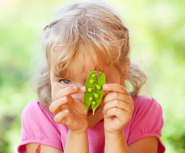 Child eating pea pod outdoors