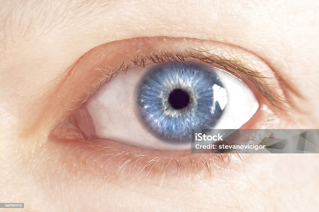 Beutiful female blue eye Close up of beautiful female blue eye without make up. Adult Stock Photo