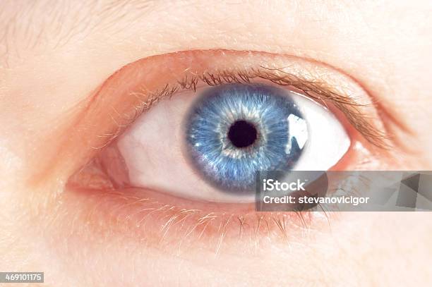 Beutiful Female Blue Eye Stock Photo - Download Image Now - Adult, Beautiful People, Beautiful Woman